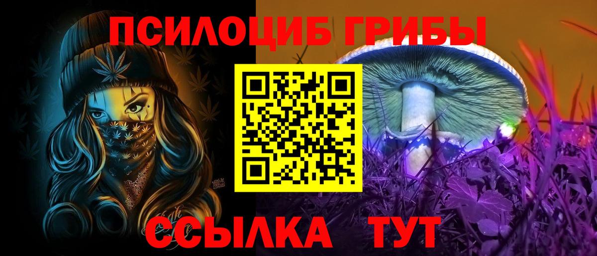 Сергиев Посад  Галлюциногенные грибы мухоморы  Вход с VPN 